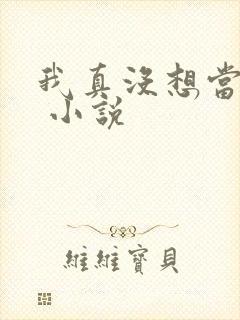 我真没想当皇上 小说