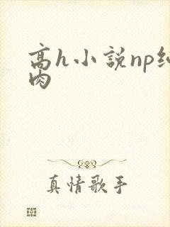 高h小说np纯肉封面