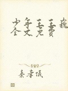 少年王王巍小说全文免费