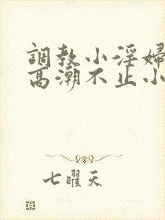 调教小淫妇失禁高潮不止小说封面