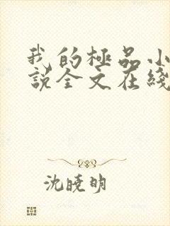 我的极品小姨小说全文在线阅读