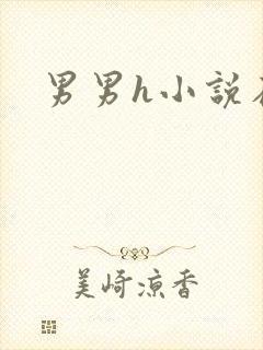 男男h小说在线封面