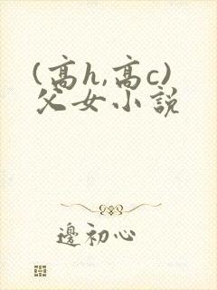 (高h,高c)父女小说封面