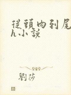 从头肉到尾的高h小说