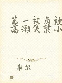 第一视角被调教高潮失禁小说