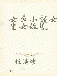 女尊小说女主是皇女姓凤封面