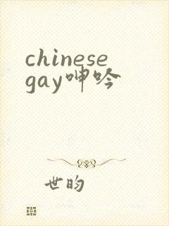chinesegay呻吟