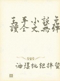 王平小说免费阅读全文无弹窗