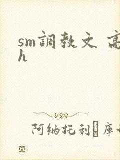 sm调教文 高h