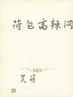 荷包高辣网文h封面