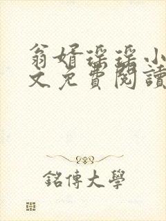 翁婿瑶瑶小说全文免费阅读最新章节