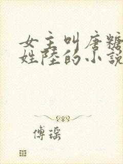 女主叫唐糖男主姓陆的小说