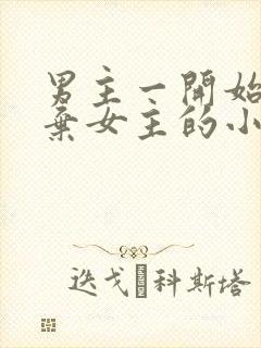 男主一开始很嫌弃女主的小说封面