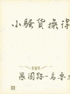 小骚货操得好爽封面