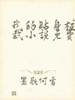 我的贴身校花总裁小说免费