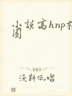 小说高hnp校园