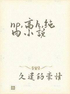np,高h,纯肉小说
