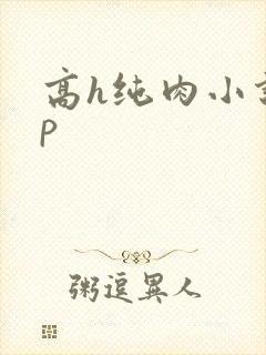 高h纯肉小说np