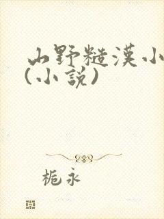 山野糙汉小娇娘(小说)封面