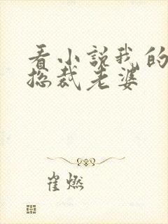 看小说我的冷艳总裁老婆封面