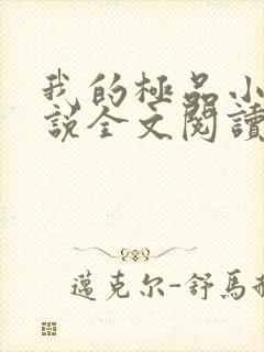 我的极品小姨小说全文阅读