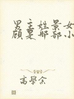 男主姓景女主姓顾是哪部小说封面