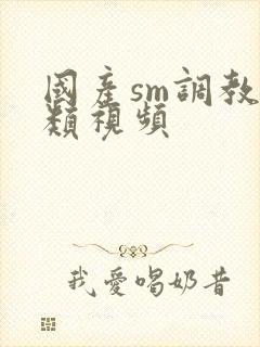 国产sm调教另类视频