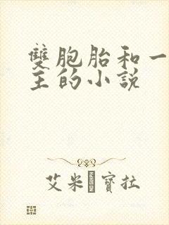 双胞胎和一个女主的小说