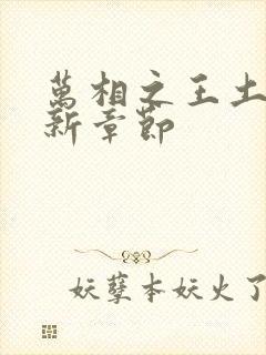 万相之王土豆最新章节