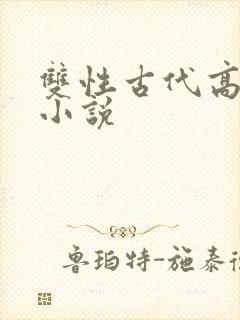 双性古代高辣h小说封面