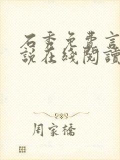 石秀免费言情小说在线阅读封面