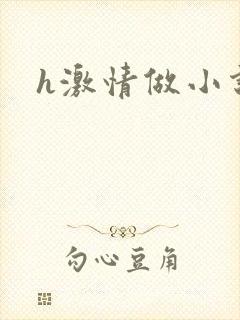 h激情做小说封面