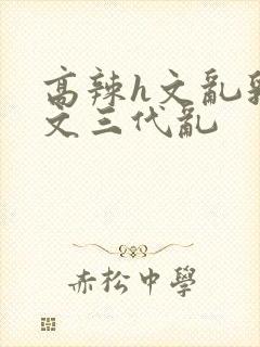 高辣h文乱乳h文三代乱