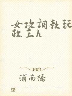 女攻调教玩弄摄政王h