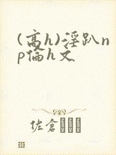 (高h)淫趴np伦h文