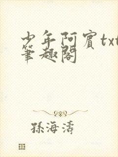 少年阿宾txt笔趣阁