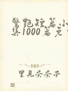 惊艳短篇小说合集1000篇免费阅读