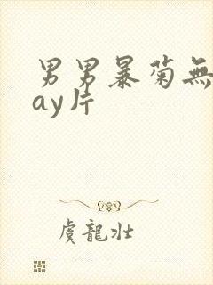 男男暴菊无套gay片封面