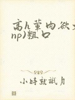 高h荤肉欲文(np)粗口