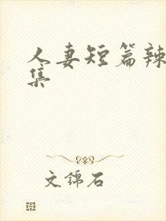 人妻短篇辣文合集