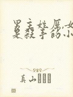 男主姓厉,女主是杀手的小说