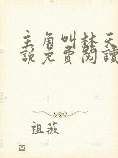 主角叫林天的小说免费阅读