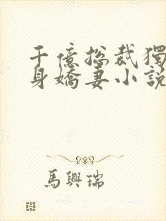 千亿总裁独宠替身娇妻小说免费阅读453章封面