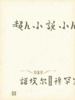 超h小说小h文
