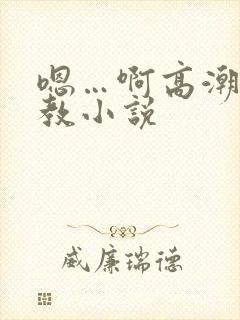 嗯…啊高潮了调教小说封面