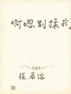 啊嗯别揉我奶头封面