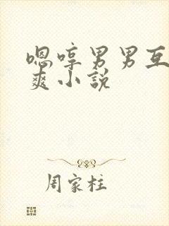 嗯哼男男互操很爽小说