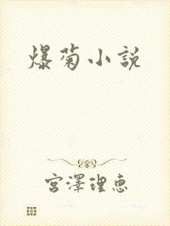 爆菊小说
