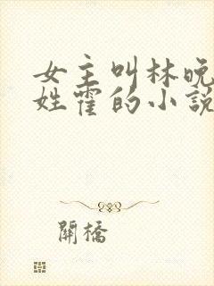 女主叫林晚男主姓霍的小说
