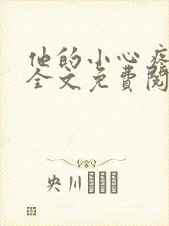 他的小心疼小说全文免费阅读封面